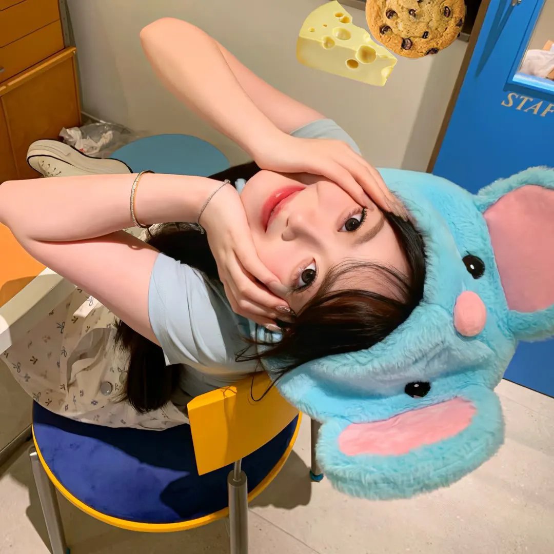 明星 陈子豪