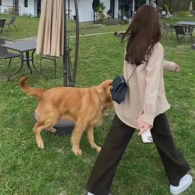 铁拳无敌海报
